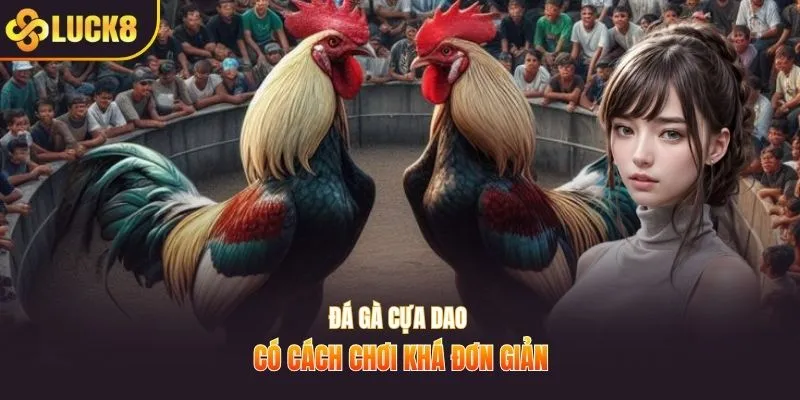 Đá gà cựa dao có cách chơi khá đơn giản
